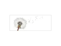MySpotti Küchenrückwand Profix Cucina Dandelion 160 x 60 cm Weiß-Schwarz