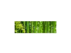 MySpotti Küchenrückwand Profix Cucina Bambus 210 x 60 cm Grasgrün