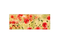 MySpotti Küchenrückwand Profix Cucina Mohnet 160 x 60 cm Mohnblüte