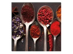 MySpotti Küchenrückwand Profix Cucina Piccante 100 x 60 cm Rot-Braun-Bunt