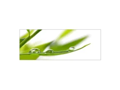 MySpotti Küchenrückwand Profix Cucina Dew Drop 160 x 60 cm Grasgrün