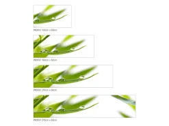 MySpotti Küchenrückwand Profix Cucina Dew Drop 160 x 60 cm Grasgrün