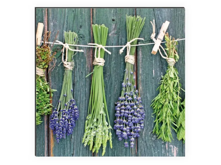 MySpotti Küchenrückwand Profix Cucina Kräuter Provence 270 x 60 cm Grün-Blau