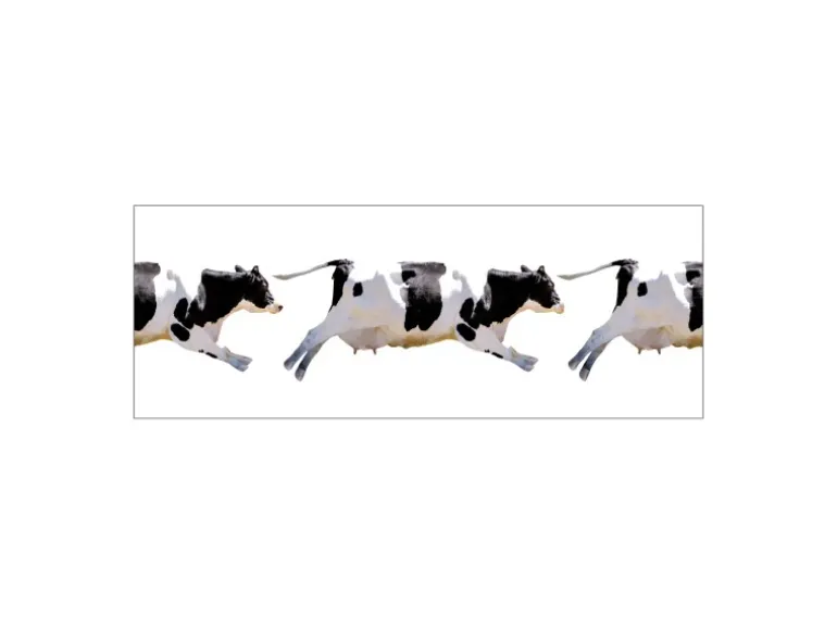 MySpotti Küchenrückwand Profix Cucina Fliegende Kuh 160 x 60 cm Schwarz-Weiß