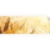 Myspotti Küchenrückwandfolie Korn Selbstklebend 220 cm x 60 cm
