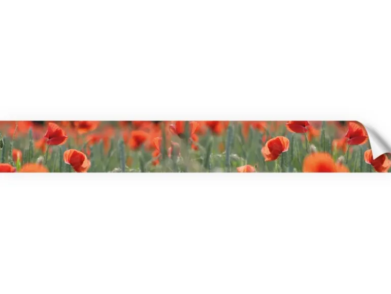 Myspotti Küchenrückwandfolie Mohn Selbstklebend 450 cm x 60 cm