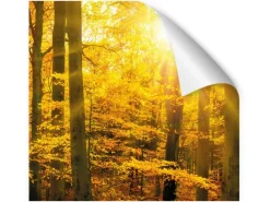 Myspotti Küchenrückwandfolie Herbstwald Selbstklebend 220 cm x 60 cm
