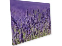 Myspotti Mini-Spritzschutzplatte Lavendel 59 cm x 41 cm