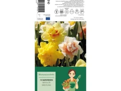 Narzissen GefüllteMischung 15 Stück Narcissus double Mixed