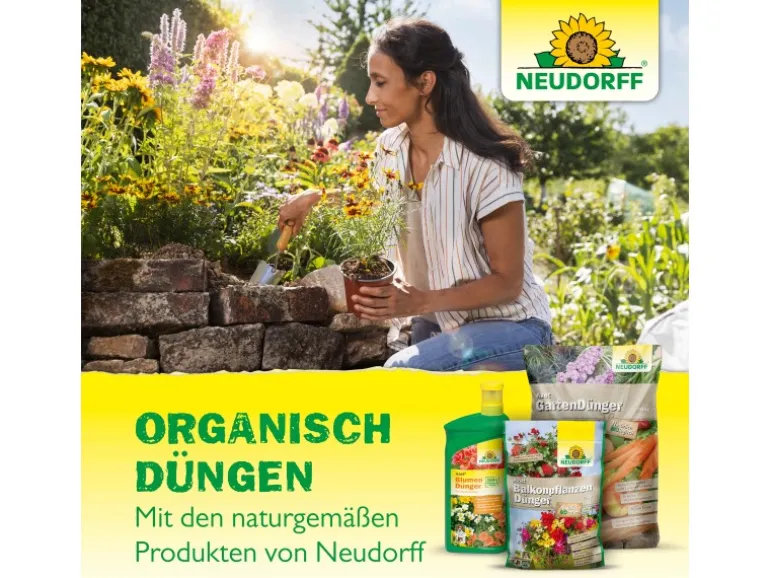 Neudorff Azet Beeren- und Obst-Dünger 2,5 kg