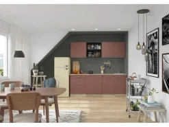 OPTIFIT Bari407 Küchenzeile 210 cm Rostrot