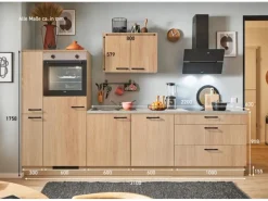 pino Küchenzeile 310 cm Eiche Aviva Anschlag links 1 Geräte-. 1 Seitenschrank