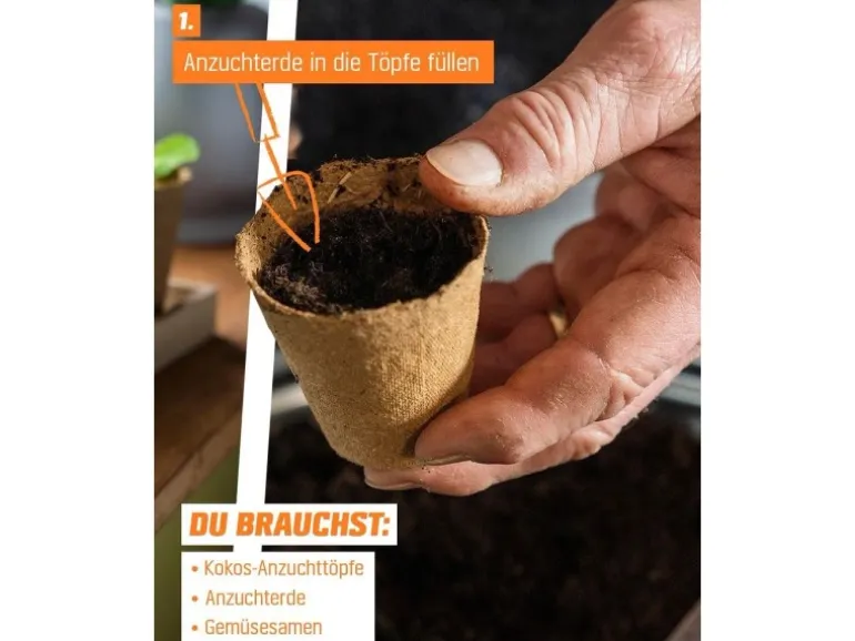 Proflora Kokosfaser Anzucht-Pflanztopf 0,05 l (20 Töpfe)