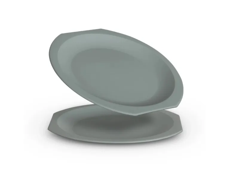 ProHome Kunststoff Teller BPA Frei Ø23 cm Grün 2er Pack
