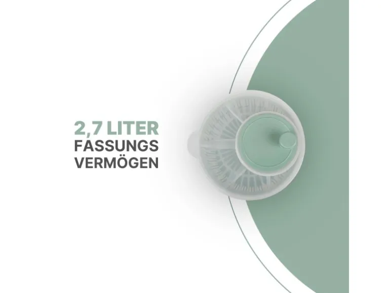 ProHome Salatschleuder 2,7 Liter Ø20 cm Grün