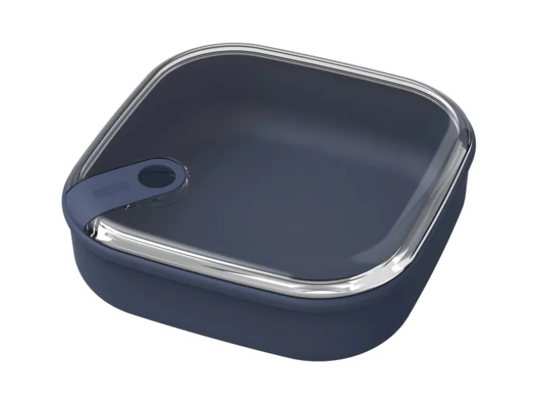 Rotho Frischhaltedose Ela Flach 1 l Dunkel-Blau