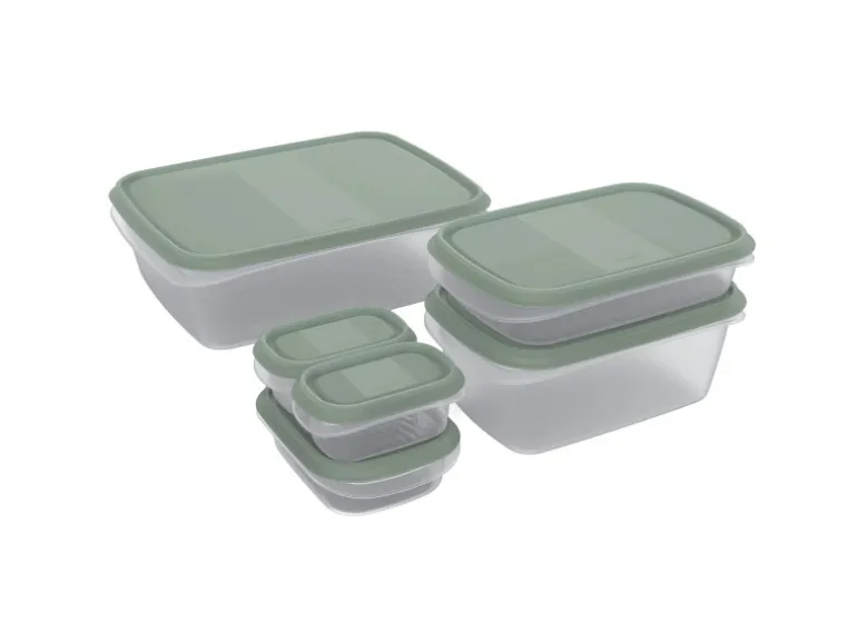 Rotho Frischhaltedosen-Set Elements Mistletoe Green 6-teilig