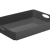 Rotho Living Box C4 Anthrazit 4,5 l