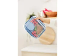 Rotho Salatbox B3 Memory 1,7 l Transparent Horizonblau