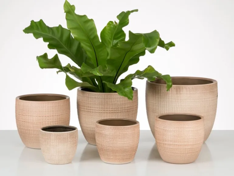 Scheurich Übertopf 866 Ø 19 cm Canela