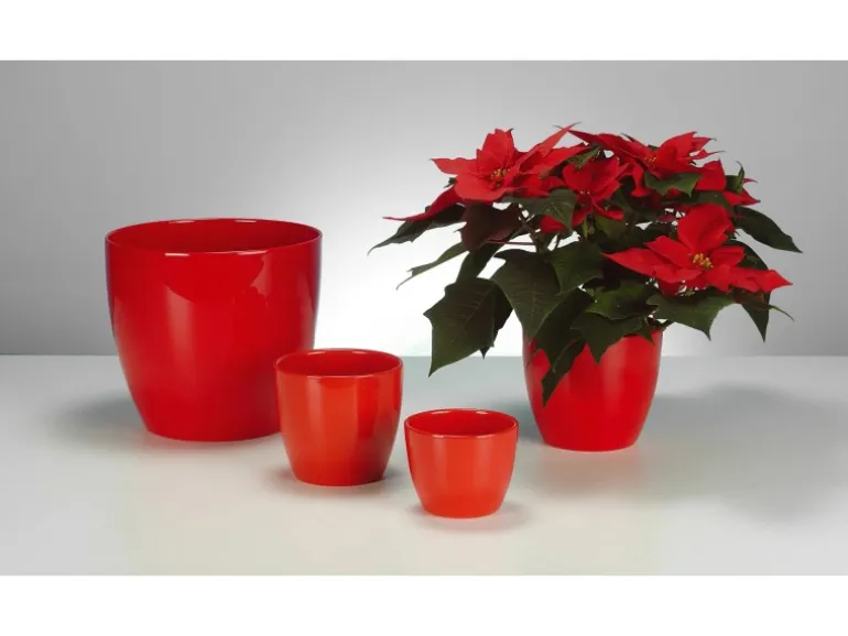 Scheurich Übertopf 920 Ø 14 cm Red