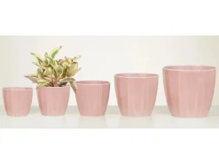 Scheurich Übertopf 939 Ø 15 cm x 13 cm Rose Elegance
