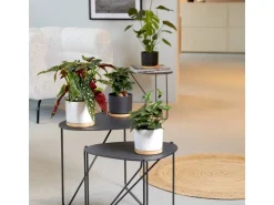 Scheurich Übertopf mit Holzuntersetzer 799 Ø 22 cm Anthrazit Matt