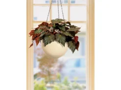 Scheurich Hängeampel 845 Ø 22 cm Creme