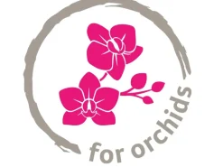 Scheurich Orchideentopf 620 Ø 13 cm x 15 cm Taupe Glänzend
