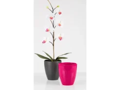 Scheurich Pflanzgefäß 620 Ø 13 cm Anthrazit