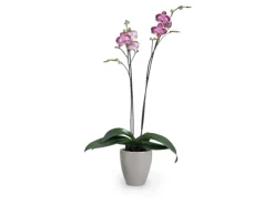 Scheurich Pflanzgefäß 620 Ø 13 cm Taupe