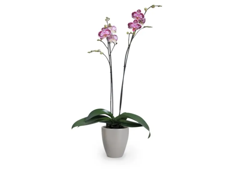 Scheurich Pflanzgefäß 620 Ø 13 cm Taupe