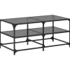 vidaXL Couchtisch mit Glasplatte Schwarz 98,5x50x45 cm Stahl Modell 1