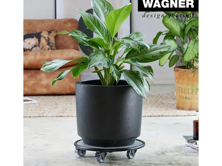 Wagner design Pflanzenroller GH 7017 Ø 38 cm x 8 cm Schwarz-Weiß