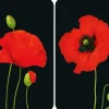 Wenko Herdabdeckplatten Universal Mohn 2er Set Mehrfarbig