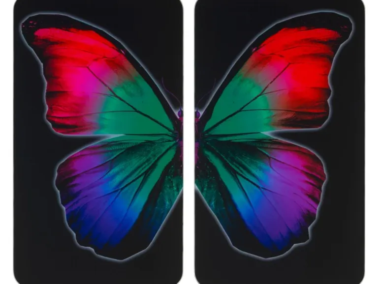 Wenko Herdabdeckplatten Universal Butterfly by Night 2er Set Mehrfarbig