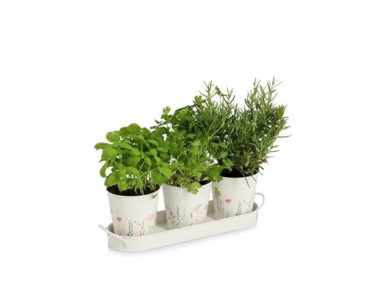 Zeller Kräutertopf-Set Flowers Metall 4-teilig Weiß